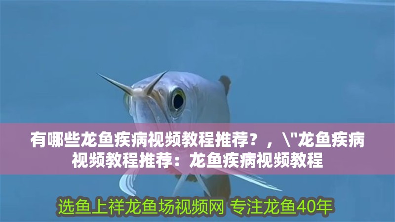 有哪些龍魚疾病視頻教程推薦？，\