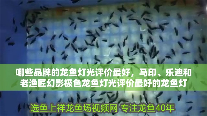 哪些品牌的龍魚燈光評價最好，馬印、樂迪和老漁匠幻影極色龍魚燈光評價最好的龍魚燈
