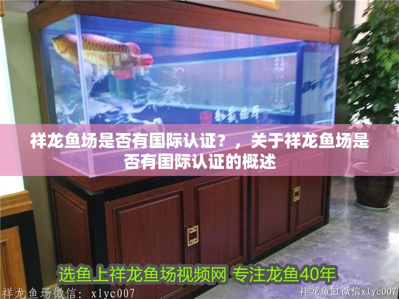 祥龍魚(yú)場(chǎng)是否有國(guó)際認(rèn)證？，關(guān)于祥龍魚(yú)場(chǎng)是否有國(guó)際認(rèn)證的概述