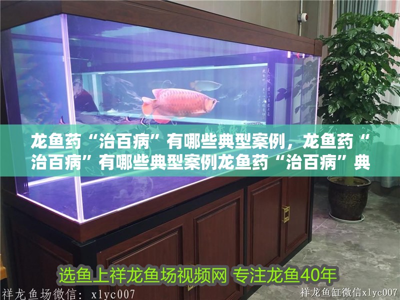 龍魚藥“治百病”有哪些典型案例，龍魚藥“治百病”有哪些典型案例龍魚藥“治百病”典型案例