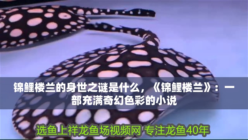 錦鯉樓蘭的身世之謎是什么，《錦鯉樓蘭》：一部充滿奇幻色彩的小說