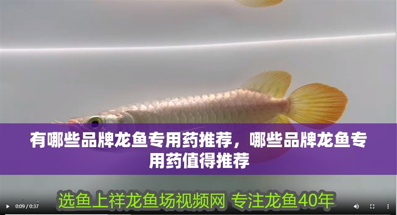 有哪些品牌龍魚專用藥推薦，哪些品牌龍魚專用藥值得推薦