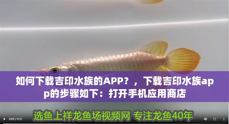 如何下載吉印水族的APP？，下載吉印水族app的步驟如下：打開手機(jī)應(yīng)用商店