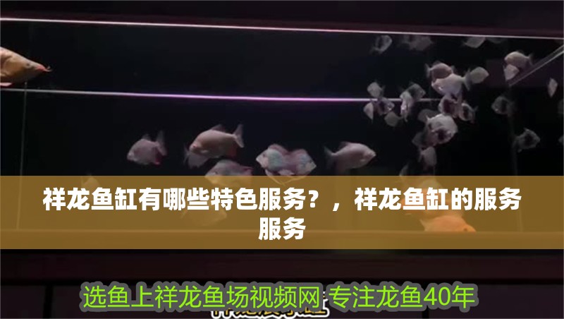 祥龍魚缸有哪些特色服務(wù)？，祥龍魚缸的服務(wù)服務(wù)