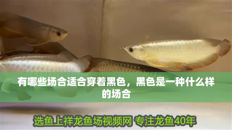 有哪些場合適合穿著黑色，黑色是一種什么樣的場合