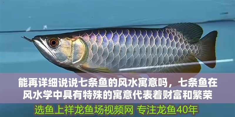 能再詳細(xì)說說七條魚的風(fēng)水寓意嗎，七條魚在風(fēng)水學(xué)中具有特殊的寓意代表著財(cái)富和繁榮