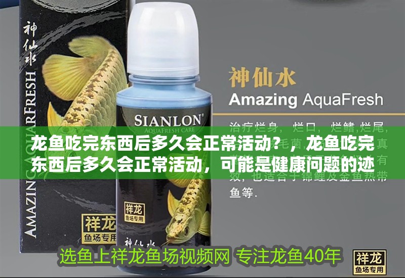 龍魚吃完東西后多久會正常活動？，龍魚吃完東西后多久會正常活動，可能是健康問題的跡象