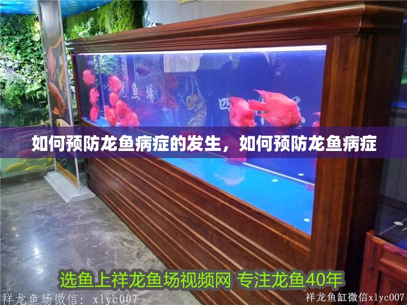 如何預防龍魚病癥的發生，如何預防龍魚病癥