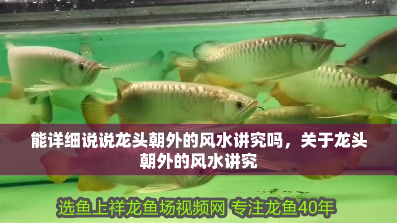 能詳細說說龍頭朝外的風水講究嗎，關于龍頭朝外的風水講究
