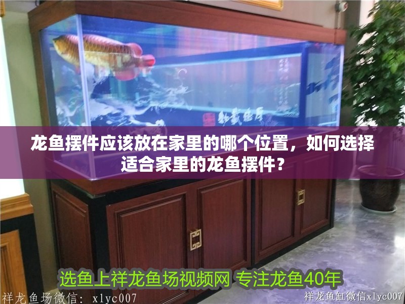 龍魚擺件應該放在家里的哪個位置，如何選擇適合家里的龍魚擺件？