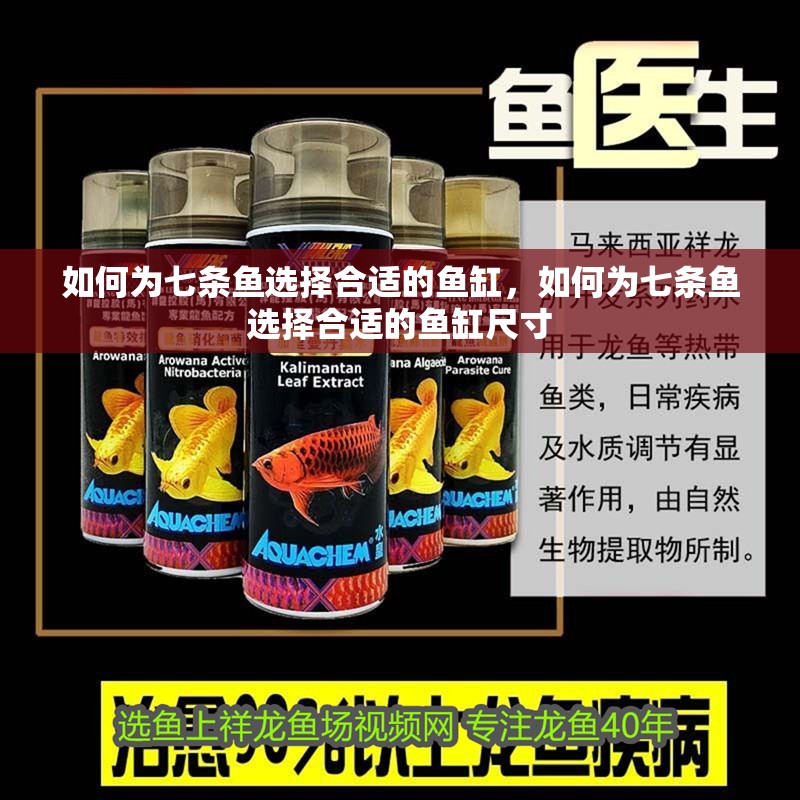 如何為七條魚選擇合適的魚缸，如何為七條魚選擇合適的魚缸尺寸