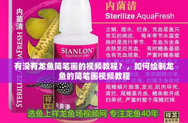有沒有龍魚簡筆畫的視頻教程？，如何繪制龍魚的簡筆畫視頻教程