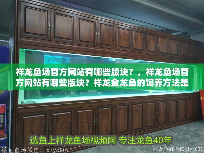 祥龍魚場官方網站有哪些版塊？，祥龍魚場官方網站有哪些版塊？祥龍金龍魚的飼養方法是什么？