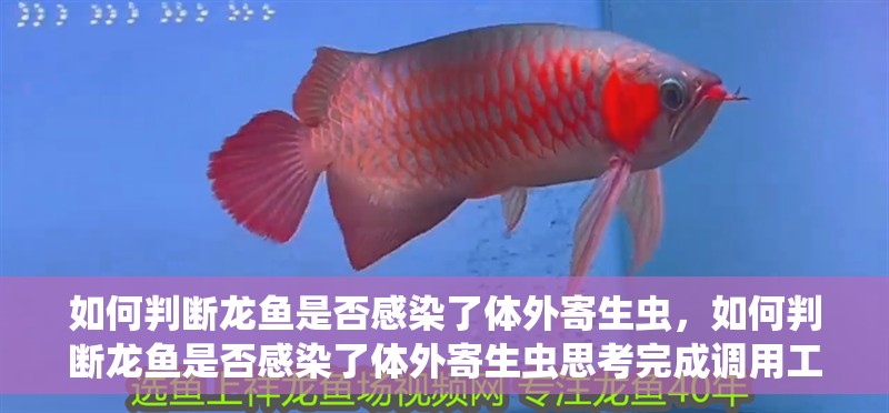如何判斷龍魚是否感染了體外寄生蟲，如何判斷龍魚是否感染了體外寄生蟲思考完成調用工具學術文章搜索服務