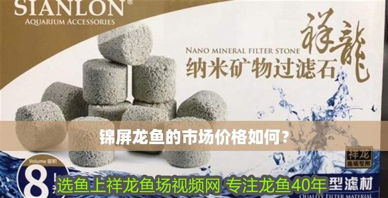 錦屏龍魚的市場價格如何？