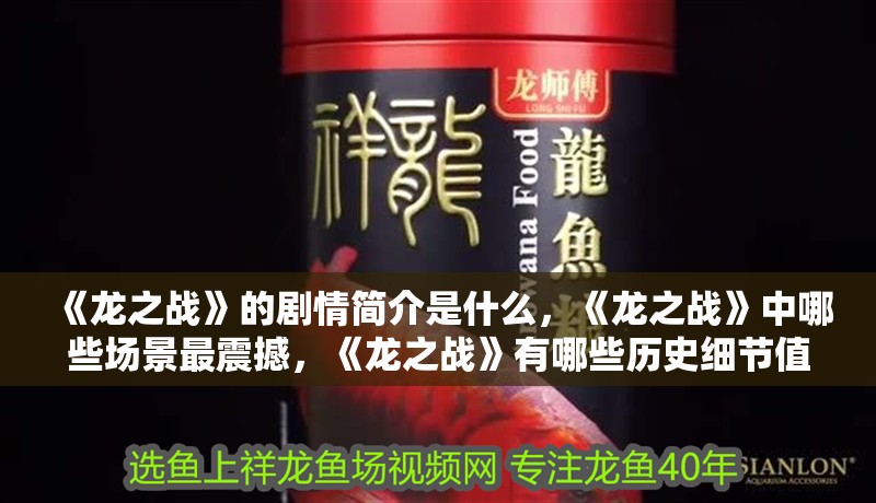《龍之戰》的劇情簡介是什么，《龍之戰》中哪些場景最震撼，《龍之戰》有哪些歷史細節值得關注