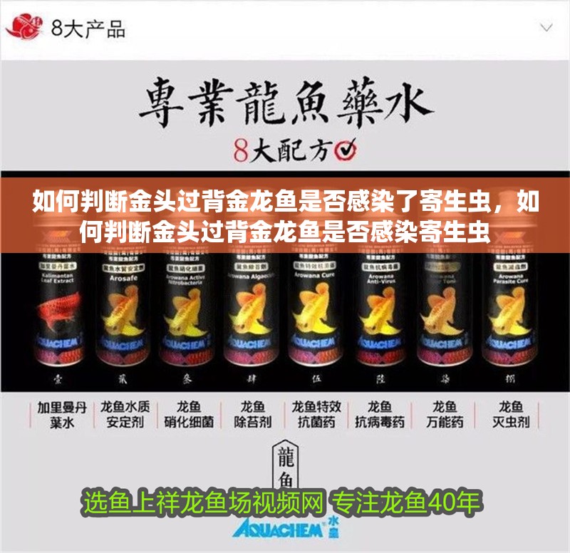 如何判斷金頭過背金龍魚是否感染了寄生蟲，如何判斷金頭過背金龍魚是否感染寄生蟲