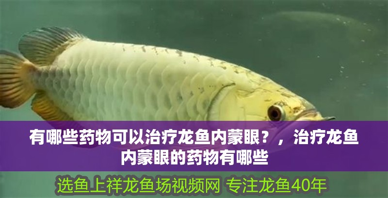 有哪些藥物可以治療龍魚內蒙眼？，治療龍魚內蒙眼的藥物有哪些
