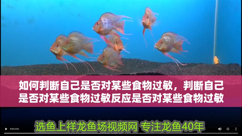 如何判斷自己是否對某些食物過敏，判斷自己是否對某些食物過敏反應是否對某些食物過敏