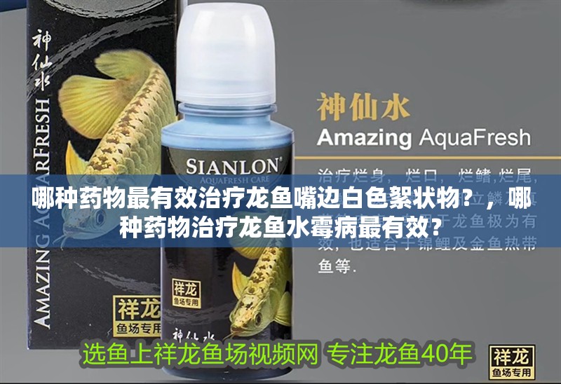 哪種藥物最有效治療龍魚嘴邊白色絮狀物？，哪種藥物治療龍魚水霉病最有效？
