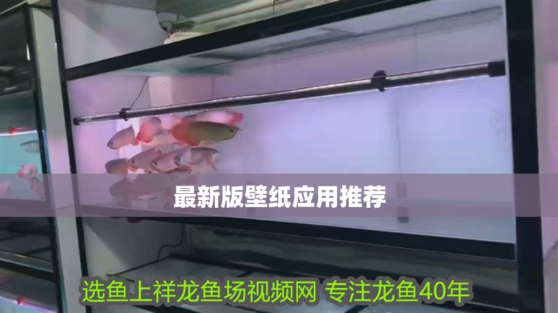 最新版壁紙應用推薦