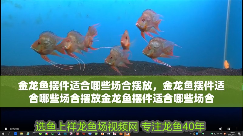 金龍魚擺件適合哪些場合擺放，金龍魚擺件適合哪些場合擺放金龍魚擺件適合哪些場合