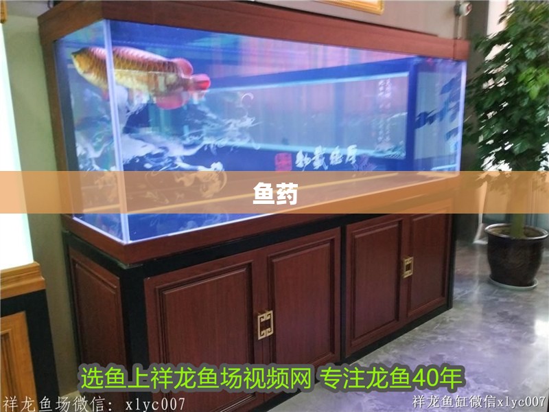 魚藥