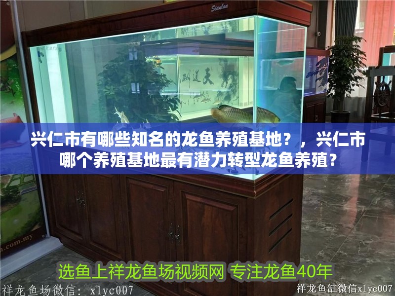 興仁市有哪些知名的龍魚養殖基地？，興仁市哪個養殖基地最有潛力轉型龍魚養殖？