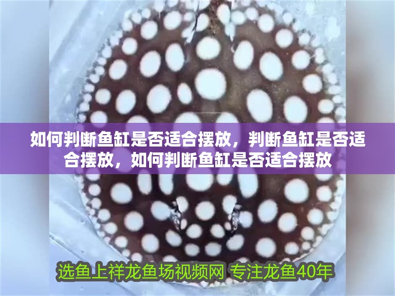 如何判斷魚缸是否適合擺放，判斷魚缸是否適合擺放，如何判斷魚缸是否適合擺放