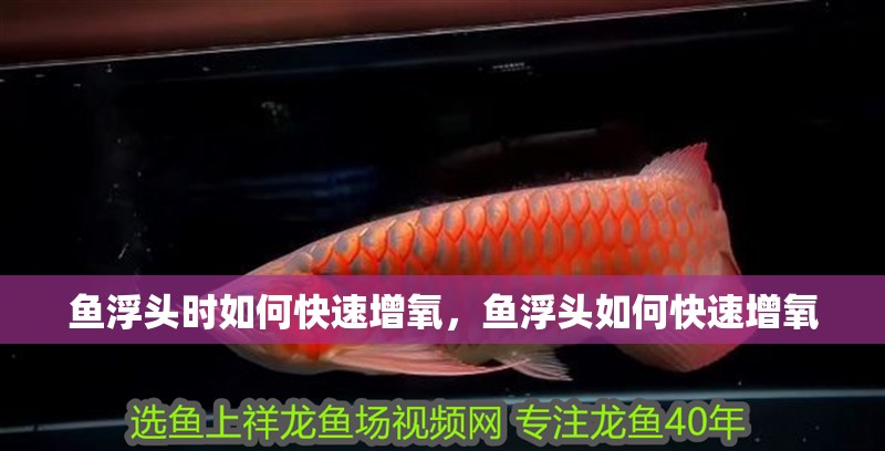 魚浮頭時如何快速增氧，魚浮頭如何快速增氧