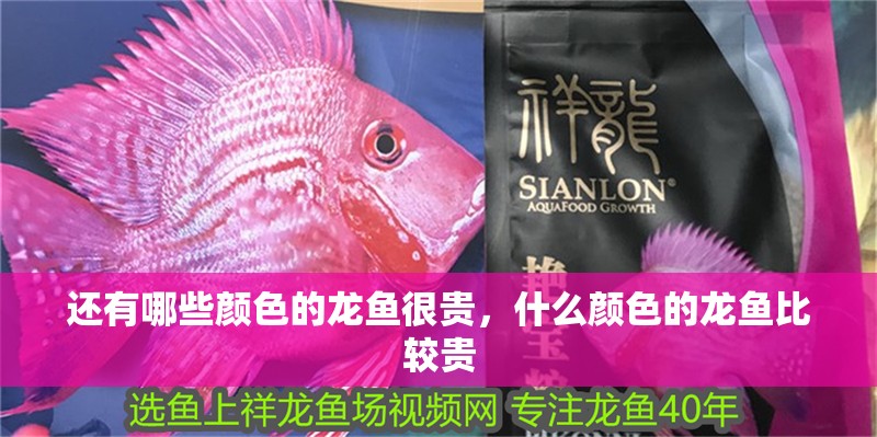 還有哪些顏色的龍魚很貴，什么顏色的龍魚比較貴