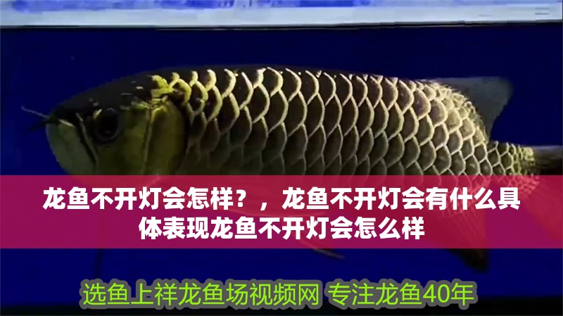 龍魚(yú)不開(kāi)燈會(huì)怎樣？，龍魚(yú)不開(kāi)燈會(huì)有什么具體表現(xiàn)龍魚(yú)不開(kāi)燈會(huì)怎么樣