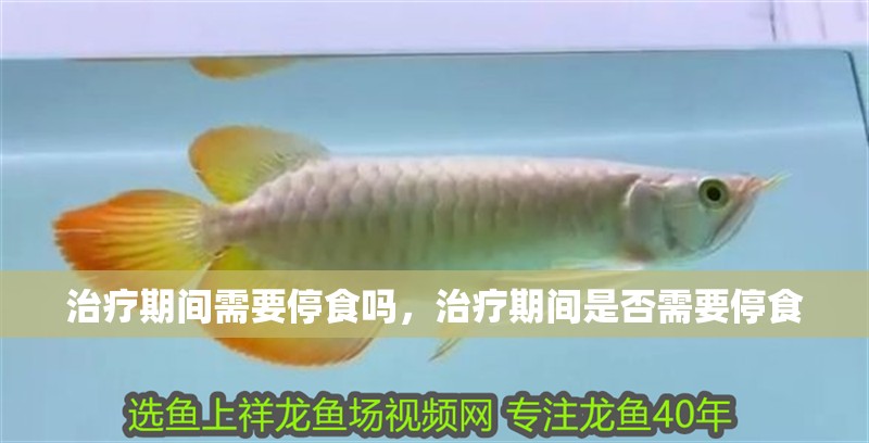 治療期間需要停食嗎，治療期間是否需要停食