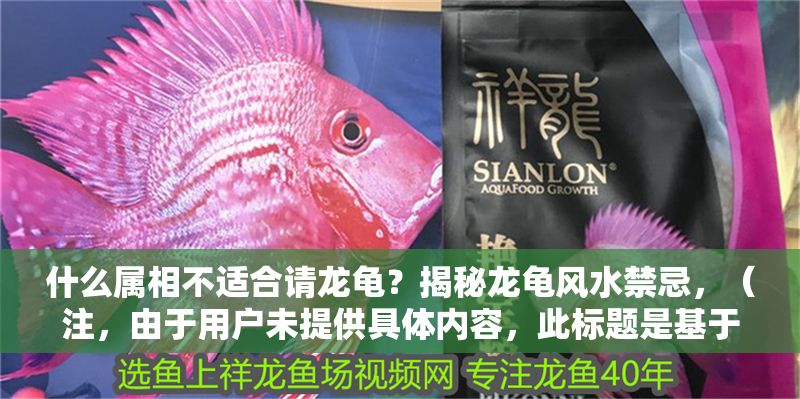 什么屬相不適合請龍龜？揭秘龍龜風水禁忌，（注，由于用戶未提供具體內容，此標題是基于常見風水話題生成的示例。若用戶提供相關內容，將據此生成更精準的標題。）