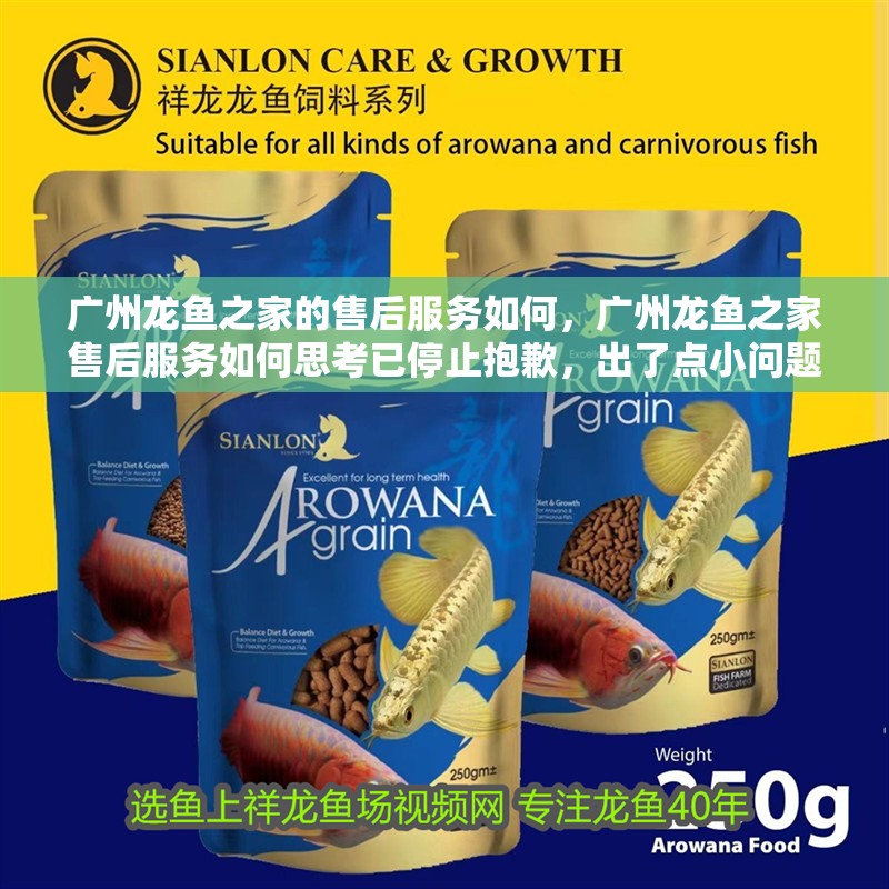 廣州龍魚之家的售后服務如何，廣州龍魚之家售后服務如何思考已停止抱歉，出了點小問題