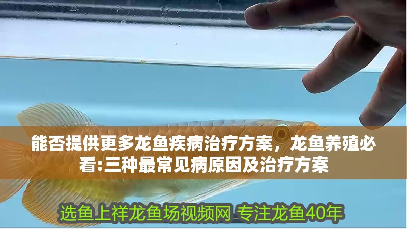 能否提供更多龍魚疾病治療方案，龍魚養殖必看:三種最常見病原因及治療方案