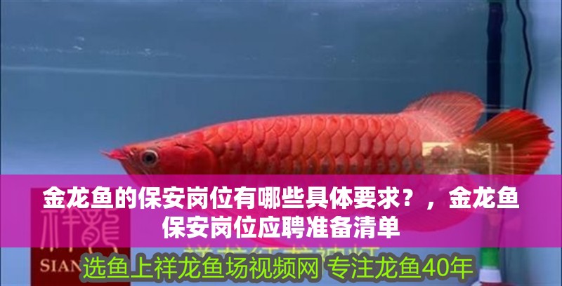 金龍魚的保安崗位有哪些具體要求？，金龍魚保安崗位應聘準備清單