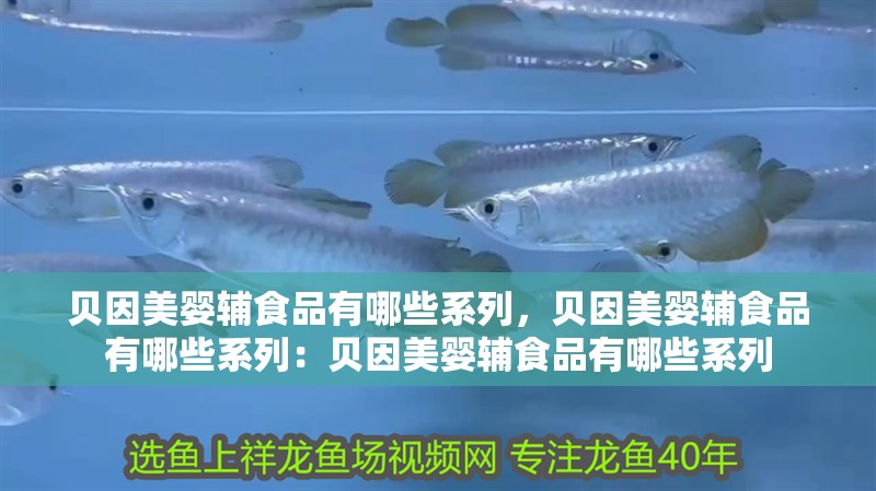 貝因美嬰輔食品有哪些系列，貝因美嬰輔食品有哪些系列：貝因美嬰輔食品有哪些系列