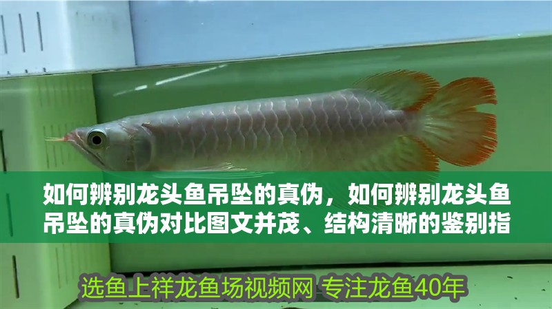 如何辨別龍頭魚吊墜的真偽，如何辨別龍頭魚吊墜的真偽對比圖文并茂、結構清晰的鑒別指南