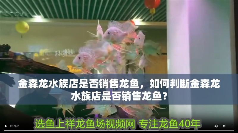 金森龍水族店是否銷售龍魚，如何判斷金森龍水族店是否銷售龍魚？