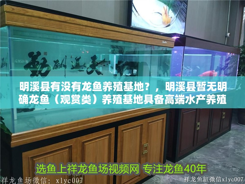 明溪縣有沒有龍魚養(yǎng)殖基地？，明溪縣暫無明確龍魚（觀賞類）養(yǎng)殖基地具備高端水產(chǎn)養(yǎng)殖項目