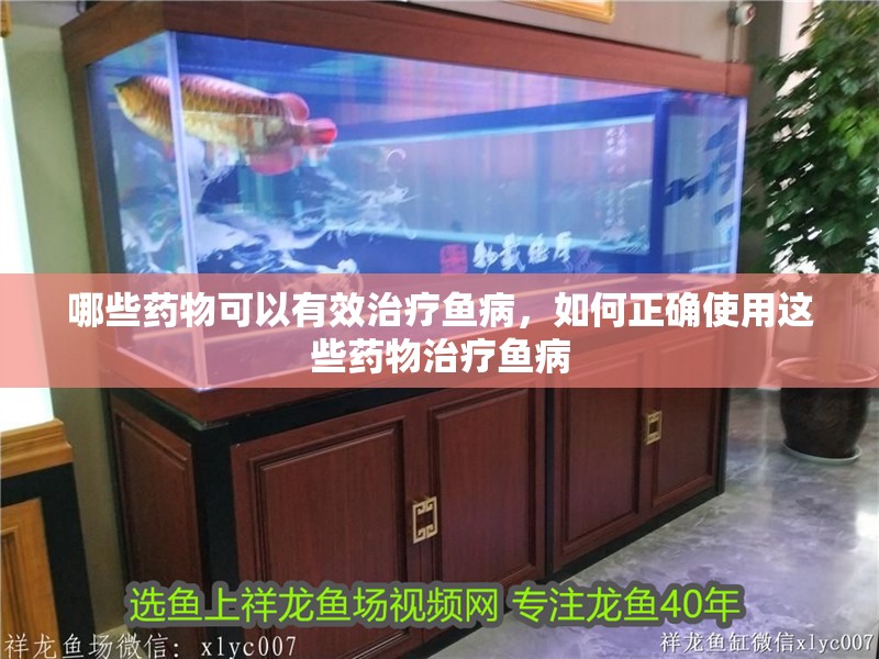 哪些藥物可以有效治療魚(yú)病，如何正確使用這些藥物治療魚(yú)病