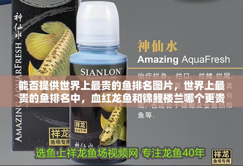 能否提供世界上最貴的魚排名圖片，世界上最貴的魚排名中，血紅龍魚和錦鯉樓蘭哪個更貴