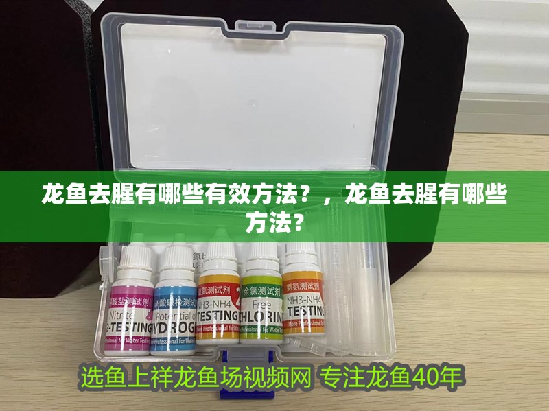 龍魚去腥有哪些有效方法？，龍魚去腥有哪些方法？