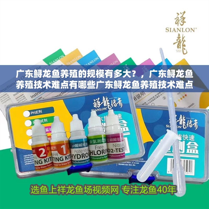 廣東鱘龍魚養(yǎng)殖的規(guī)模有多大？，廣東鱘龍魚養(yǎng)殖技術(shù)難點有哪些廣東鱘龍魚養(yǎng)殖技術(shù)難點有哪些