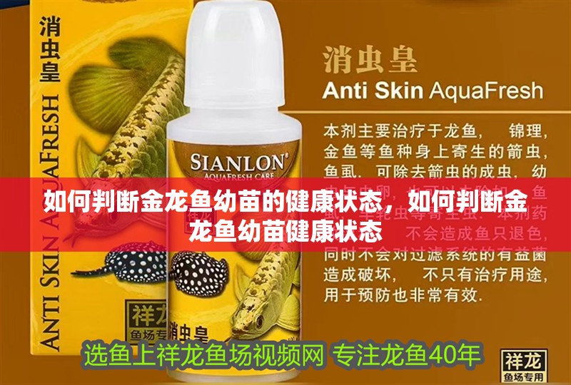 如何判斷金龍魚幼苗的健康狀態，如何判斷金龍魚幼苗健康狀態