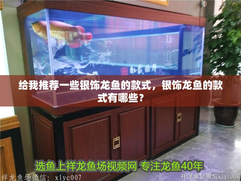 給我推薦一些銀飾龍魚的款式，銀飾龍魚的款式有哪些？