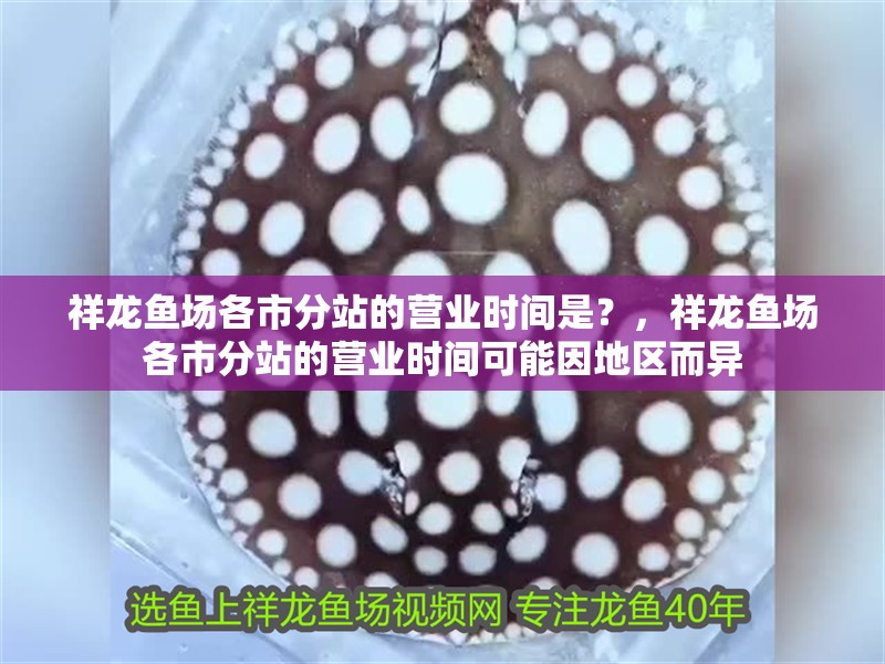 祥龍魚場各市分站的營業時間是?,祥龍魚場各市分站的營業時間可能因地區而異