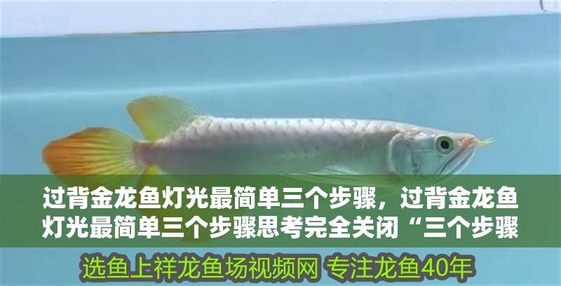過背金龍魚燈光最簡單三個步驟，過背金龍魚燈光最簡單三個步驟思考完全關閉“三個步驟”