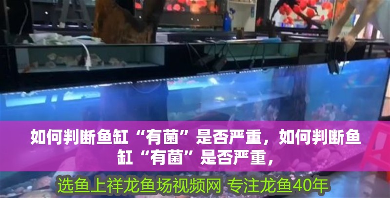 如何判斷魚缸“有菌”是否嚴重，如何判斷魚缸“有菌”是否嚴重，